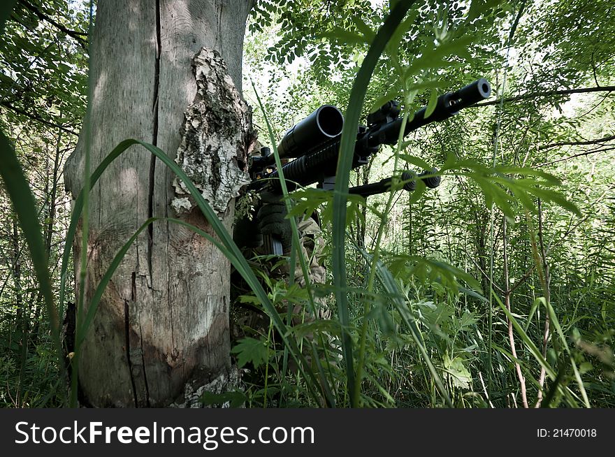 Sniper hidden in trees, aiming on enemy, stealth warrior. Sniper hidden in trees, aiming on enemy, stealth warrior.