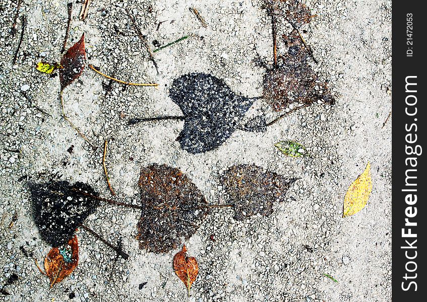 Abstract autumn leaves on the ground. Abstract autumn leaves on the ground