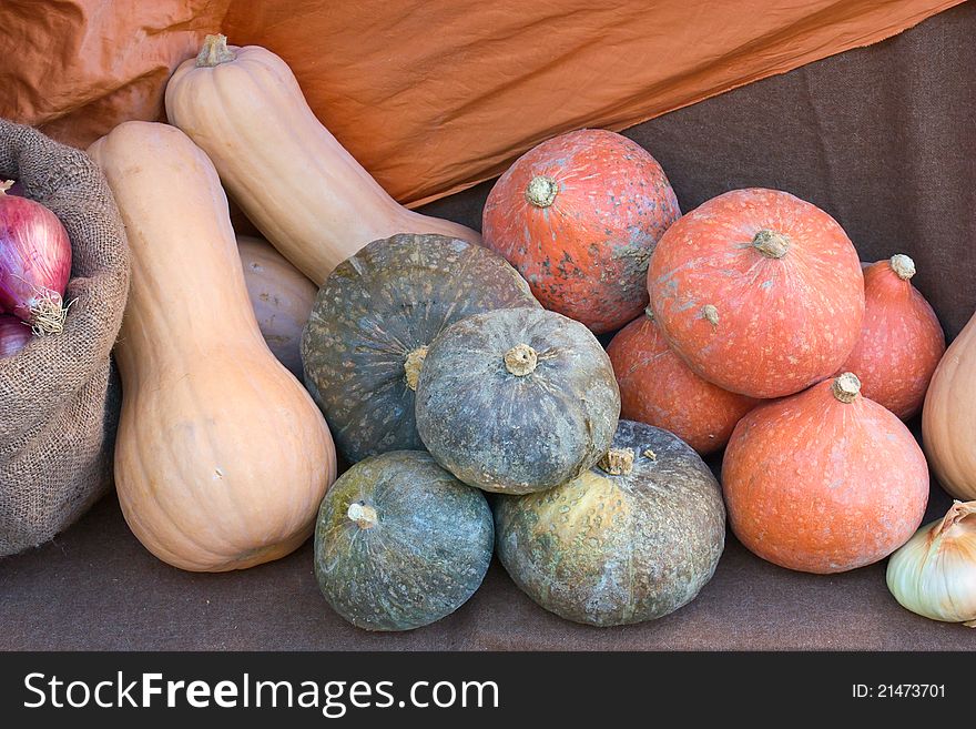 Pumpkins exposed in vegetable market - yellow, orange and green gourds