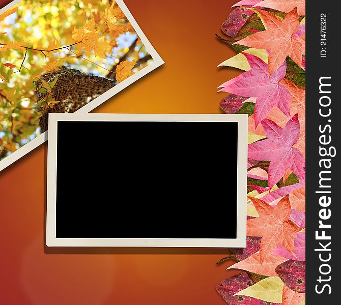 Autumn Leaves And Photo Background