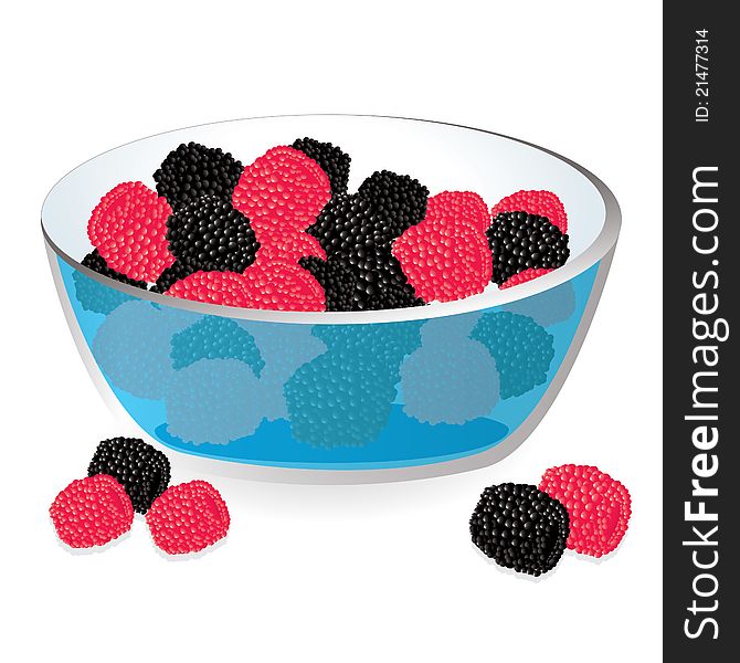 Vector illustration of isolated wild berries in bowl