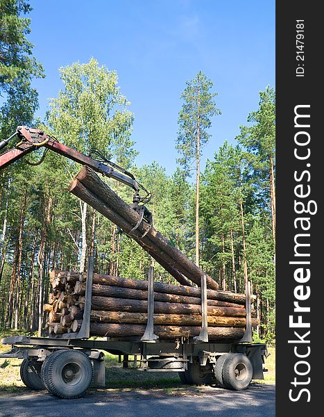 Loading felled trees in the timber crane. Loading felled trees in the timber crane.