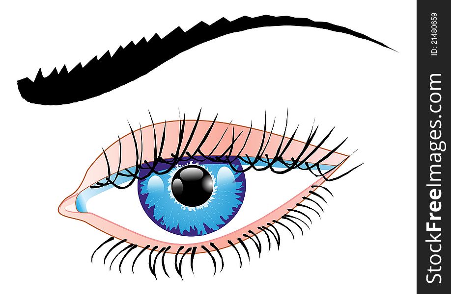 Illustration of a blue eye of a woman