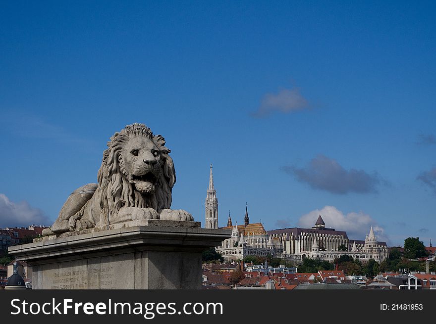 Lion on the Chain Bridge in Budapest. Lion on the Chain Bridge in Budapest