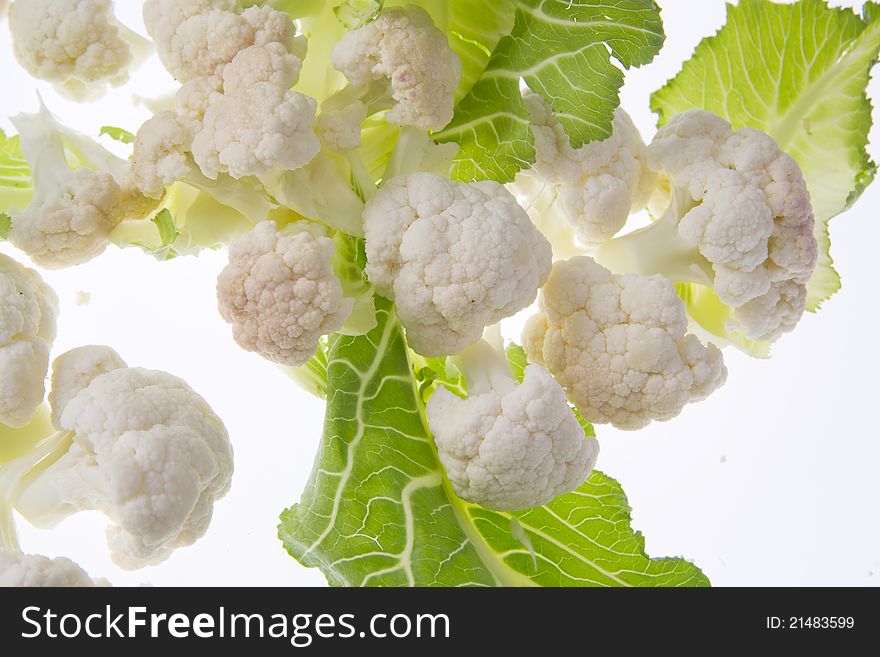 Vegetables fresh produce from the cauliflower. Vegetables fresh produce from the cauliflower