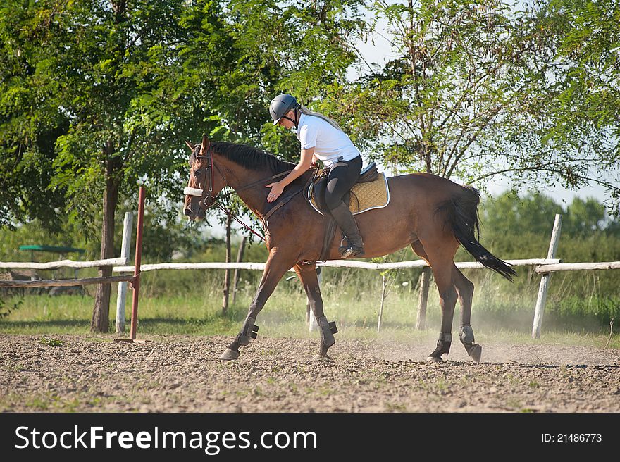 Young woman riding a horse. Young woman riding a horse