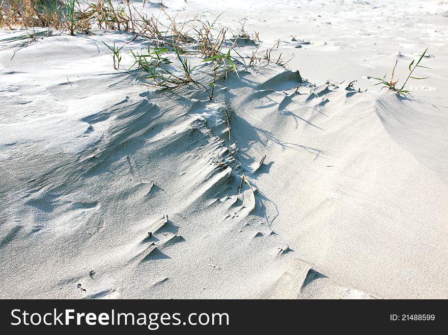 White sandy dune in the desert