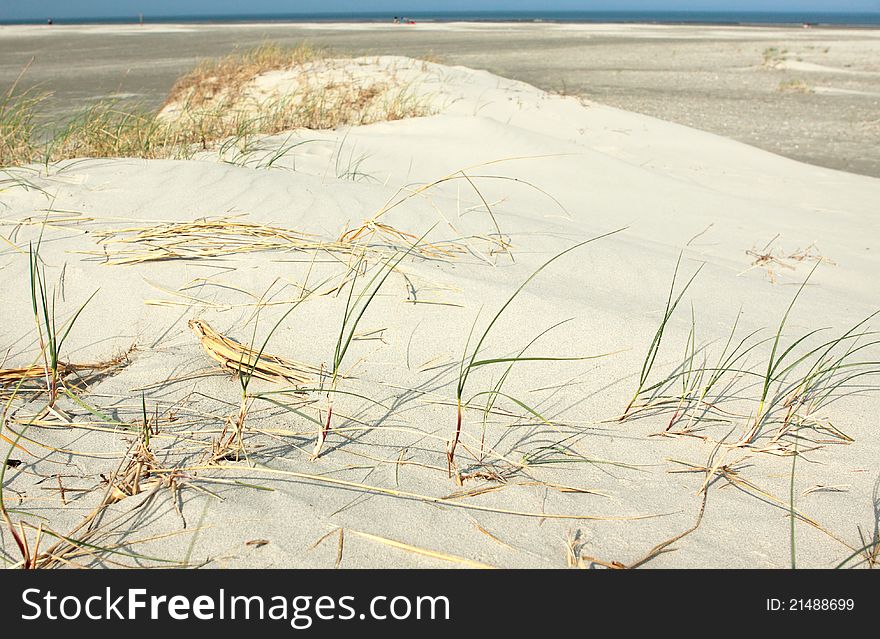 View with white sand dune. View with white sand dune