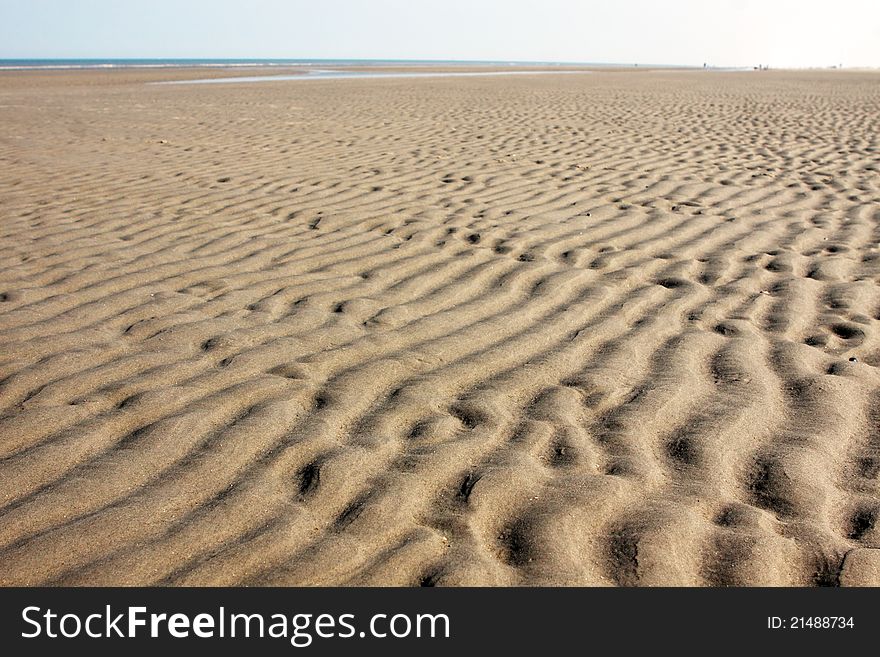 The Seabed At Low Tide