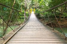 Rope Walkway Through The Treetop Royalty Free Stock Photos Rope Walkway Through The Treetop Royalty Free Stock Photos