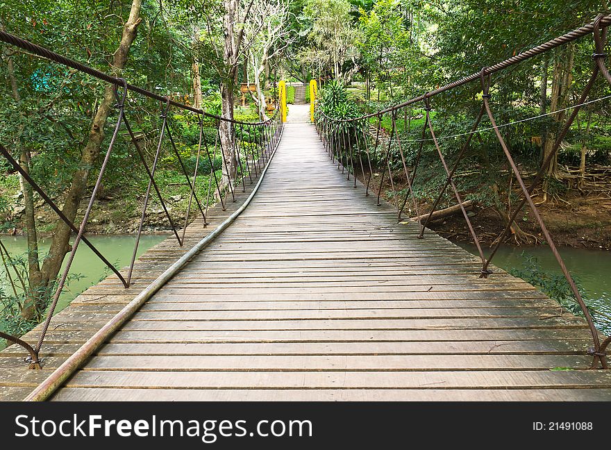 Rope walkway through the treetop