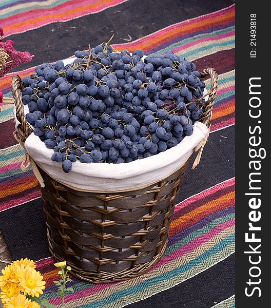 Baskets with blue grapes after the harvest. Baskets with blue grapes after the harvest