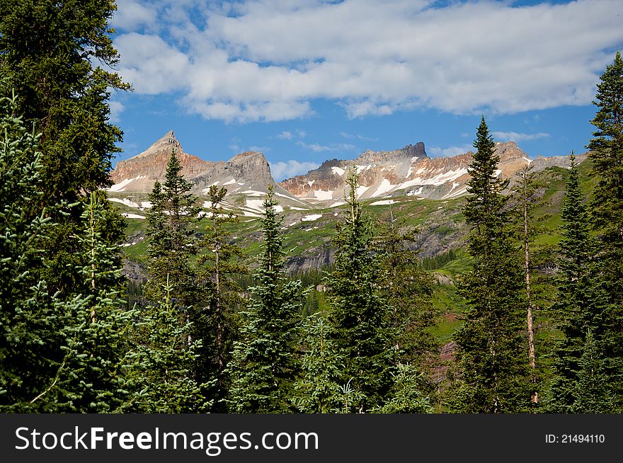 Snow-capped Mountains With Pine Trees.