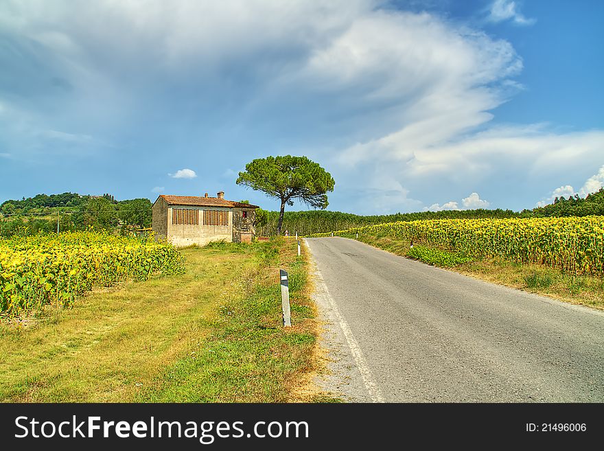 A HDR picture of Tuscany in Italy on a sunny day. A HDR picture of Tuscany in Italy on a sunny day.