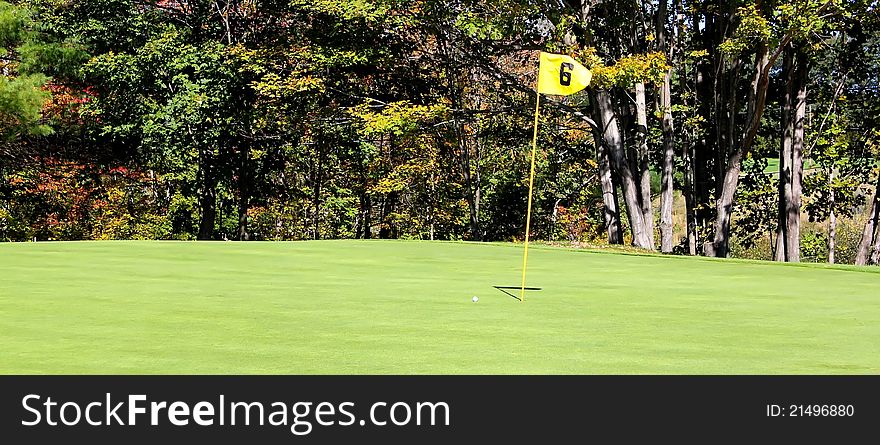 A golf green with golfball close to the flagstick