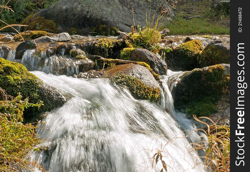 Forest stream running over mossy rocks in Alps mountains. Forest stream running over mossy rocks in Alps mountains