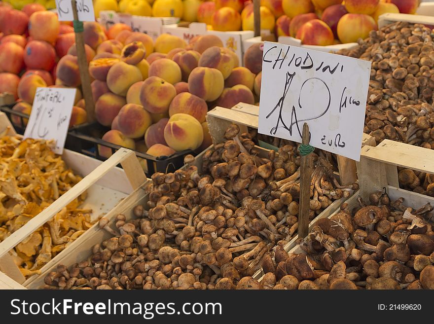 Mushrooms and fruits exposed to the Italian marketplace with price tags. Mushrooms and fruits exposed to the Italian marketplace with price tags