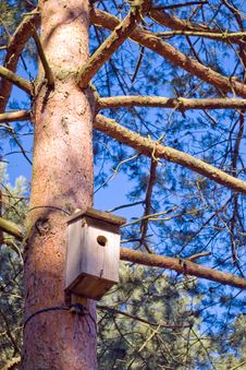 Bird House On Tree Trunk. Royalty Free Stock Photos Bird House On Tree Trunk. Royalty Free Stock Photos