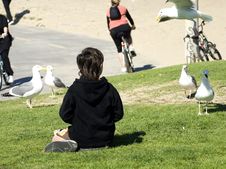 Feeding Seagulls Royalty Free Stock Photos Feeding Seagulls Royalty Free Stock Photos