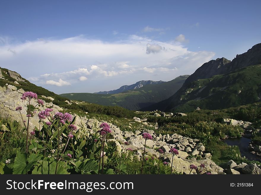 Carpathian mountains called Retezat in Romania with mauve alpine flowers on summer time