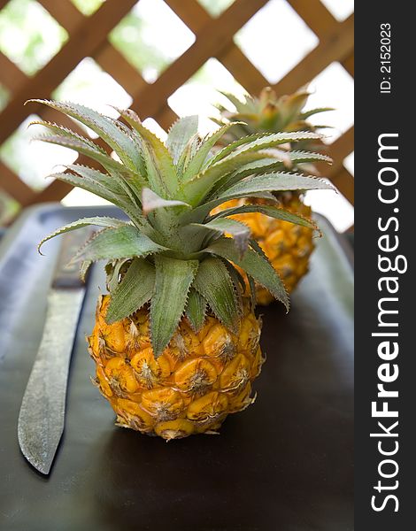 Two Mini Pineapples with a old knife on a wooden board