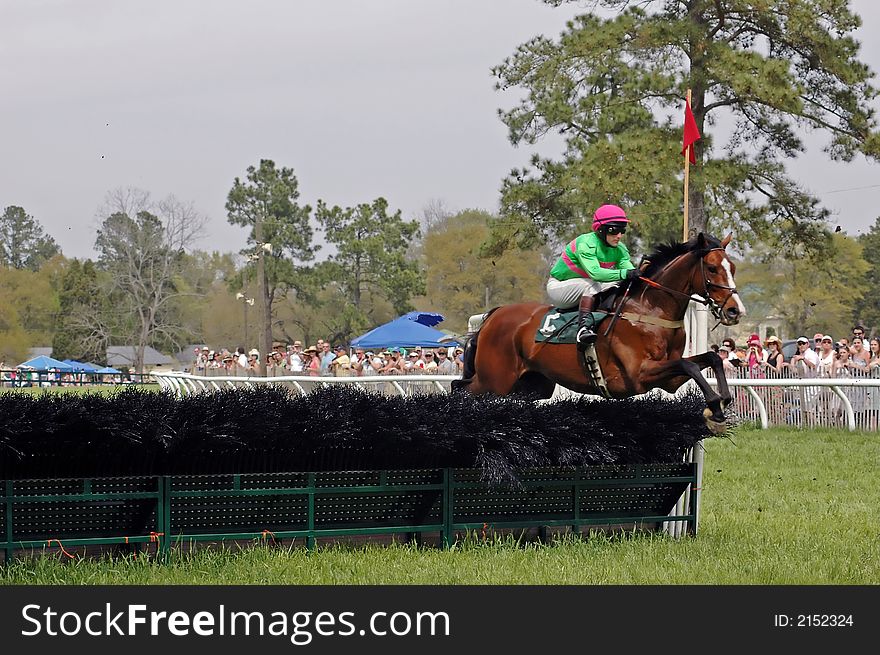 Horse and rider clear the jump during steeplechase. Horse and rider clear the jump during steeplechase