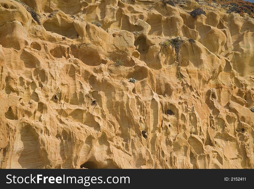 Close-up in the eroded cliffside above Torrey Pines Beach. Close-up in the eroded cliffside above Torrey Pines Beach.