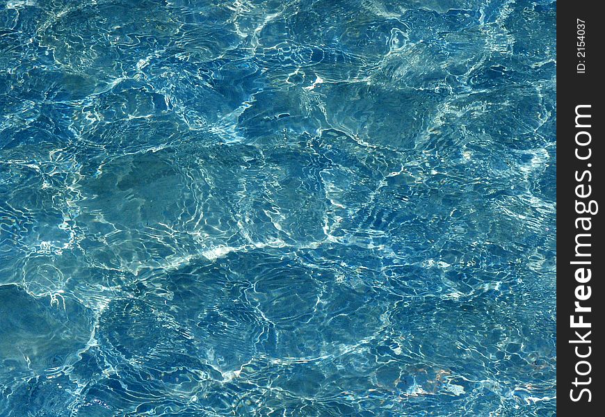 Surface of a pool in a park. Surface of a pool in a park