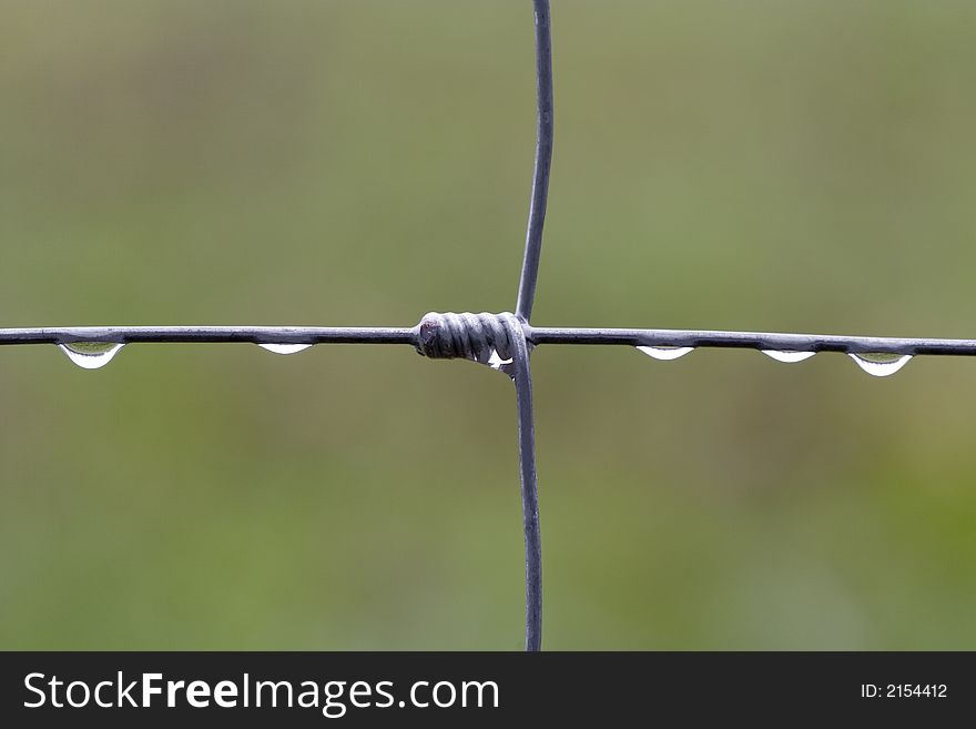 Five rain drops an a fence