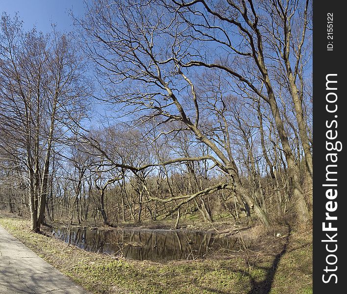 Some barren trees at a small pond, early spring, wide angle, panoramic. Some barren trees at a small pond, early spring, wide angle, panoramic.