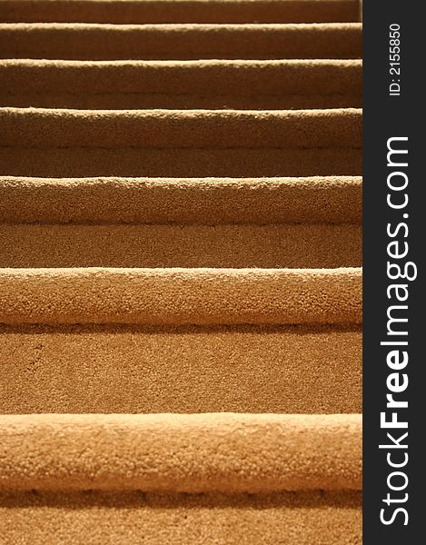 An image of a carpeted stairs