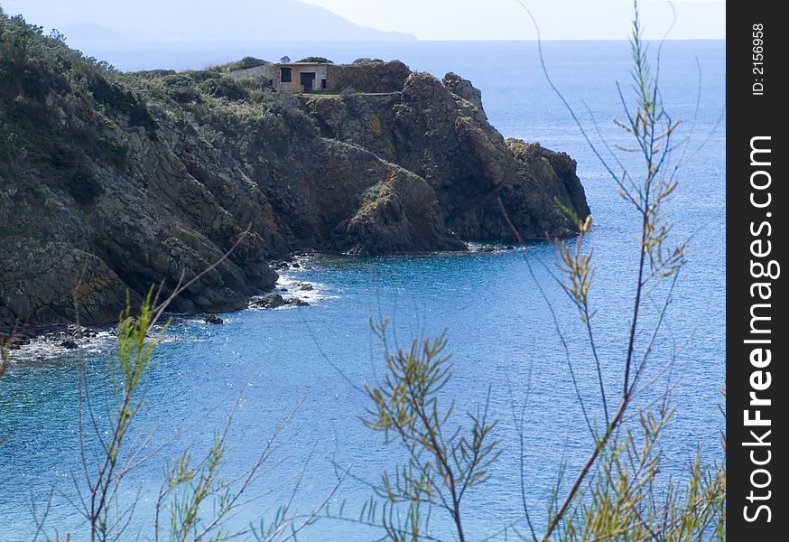 A coast sight with blue sea and herbs on the foreground