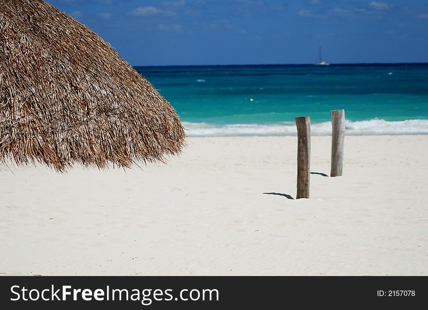 Beautiful Carribbean beach with white sand and two woods. Beautiful Carribbean beach with white sand and two woods