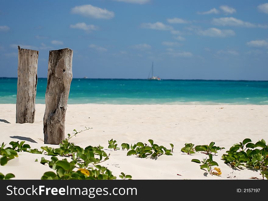 Beautiful Carribbean beach with white sand and two woods. Beautiful Carribbean beach with white sand and two woods