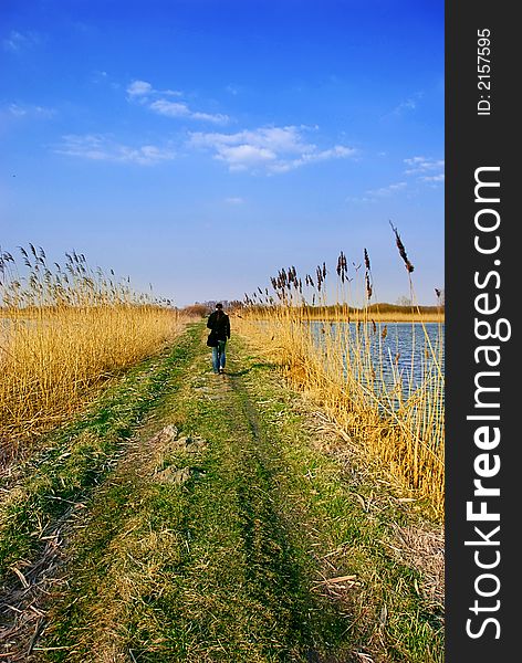 Country Path In Daylight