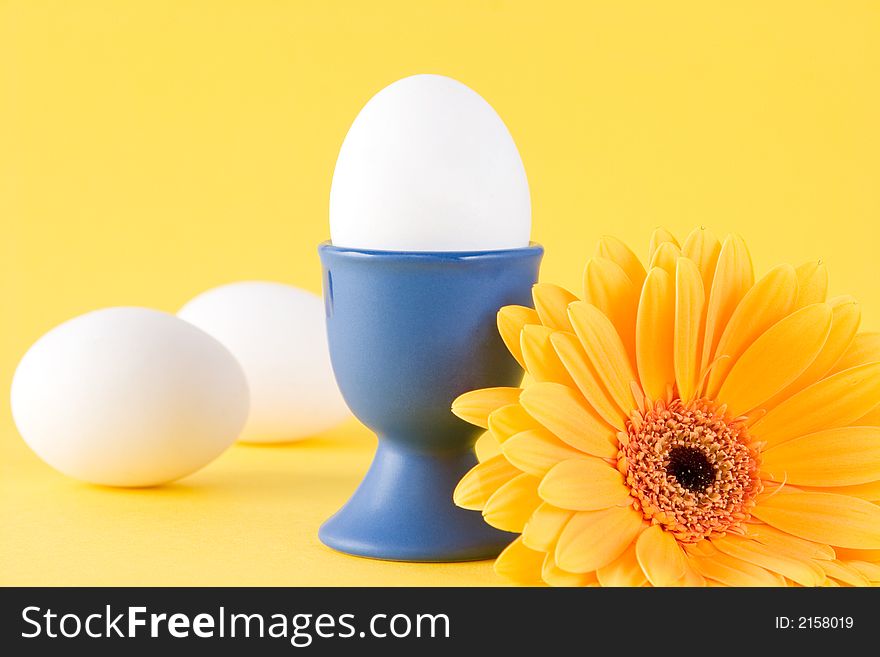 A gerbera daisy with 3 eggs with a yellow background