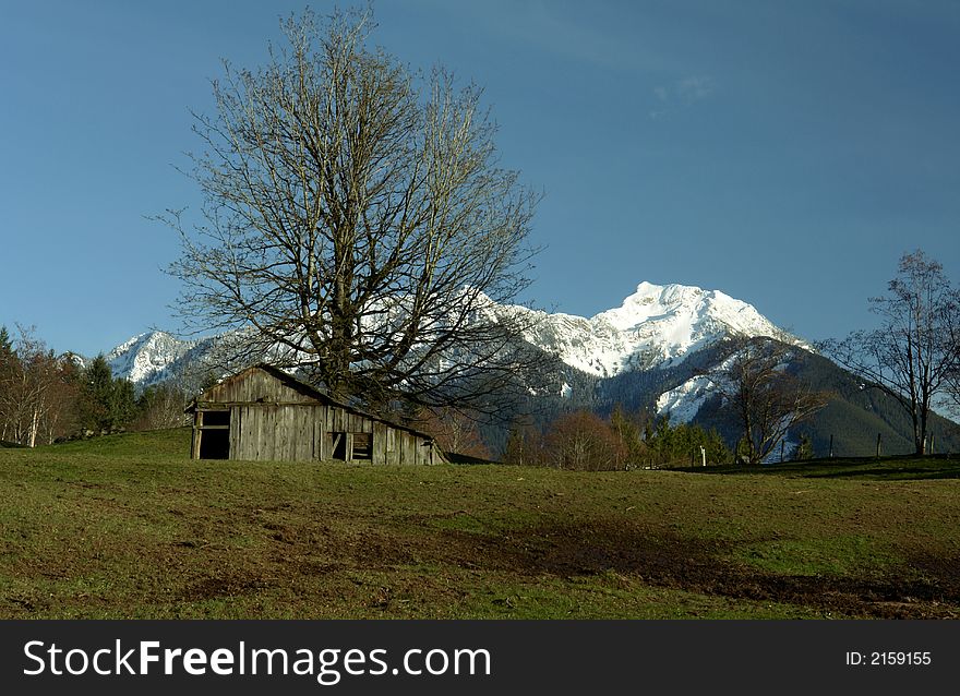 Spring time view of a shed with the cascade mountains in the background