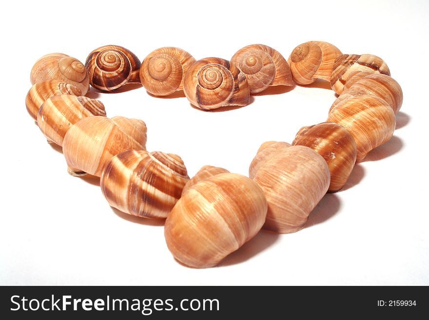 Heart shape with snail shells. Heart shape with snail shells