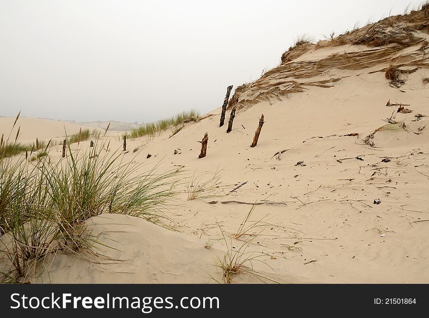 Characteristic landscape of Polish moving dunes. Characteristic landscape of Polish moving dunes