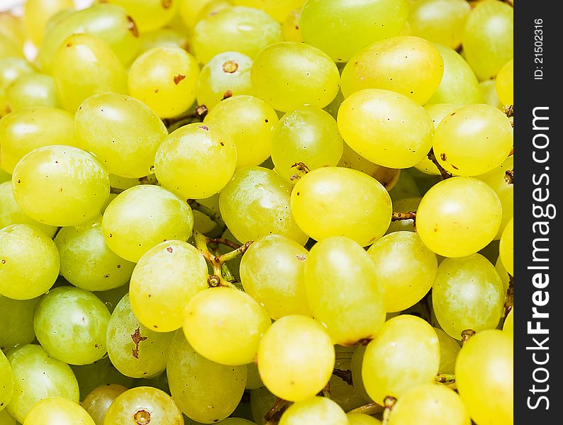 Fresh small green grapes background