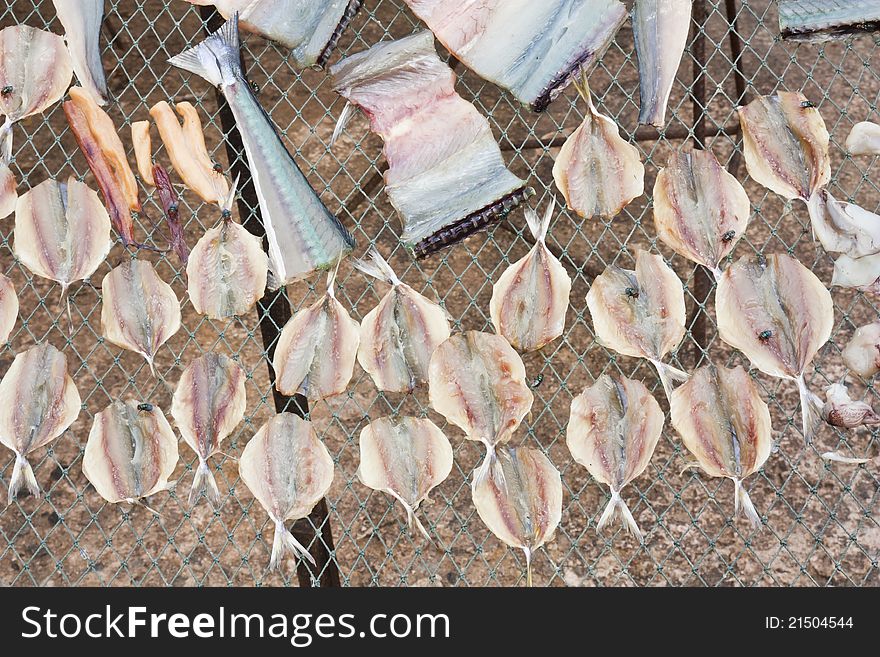 Salted and dried fish in fisherman village