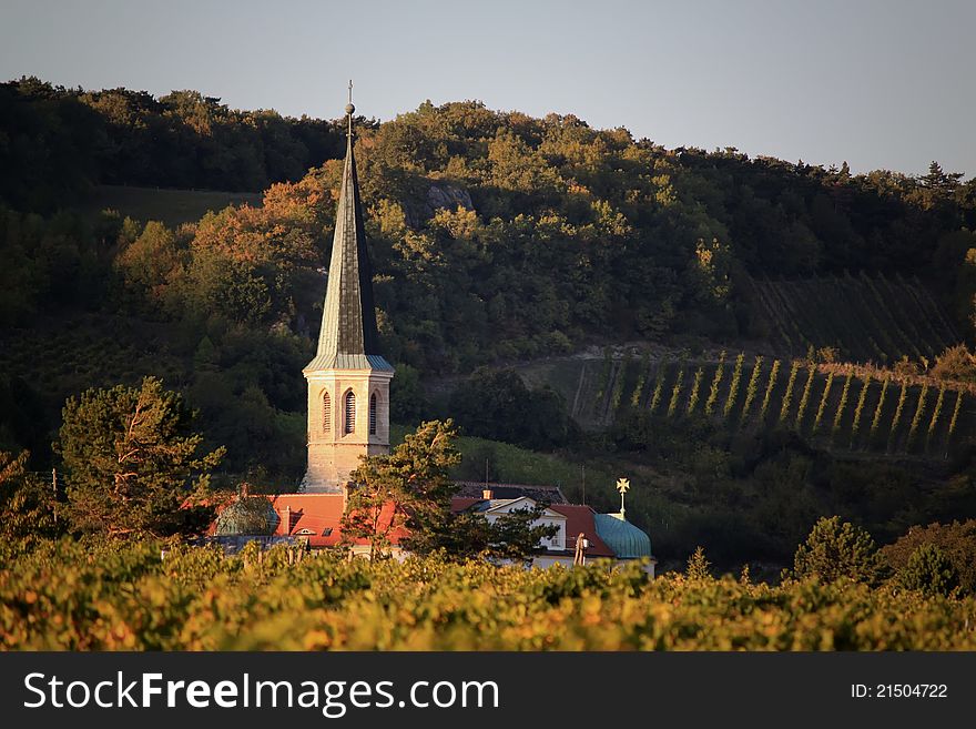 Photo of vineyard and church