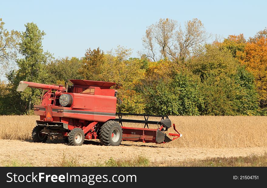 Red combine harvesting soy beans on a fall day with a clear blue sky. Red combine harvesting soy beans on a fall day with a clear blue sky