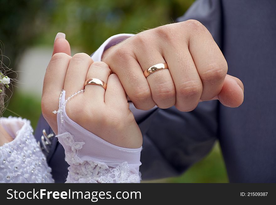 The pair of a newly-married couple shows rings. The pair of a newly-married couple shows rings