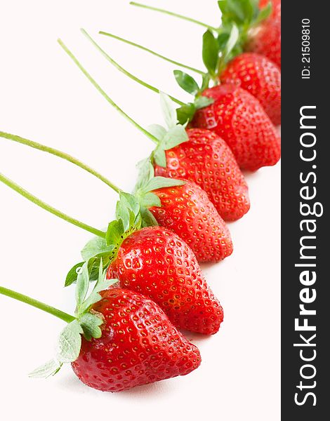 Row of strawberries on white background. Row of strawberries on white background