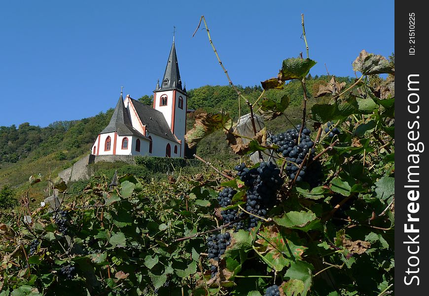 A small church in a Vineyard