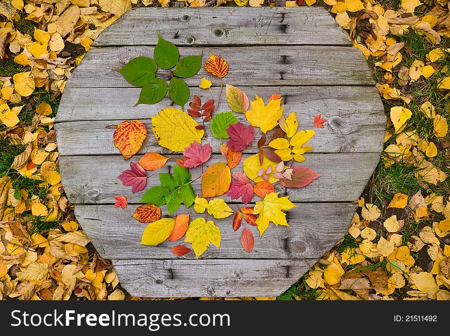 Autumn leaves on old wooden cover on ground with yellow leaves and grass in fall. Autumn leaves on old wooden cover on ground with yellow leaves and grass in fall