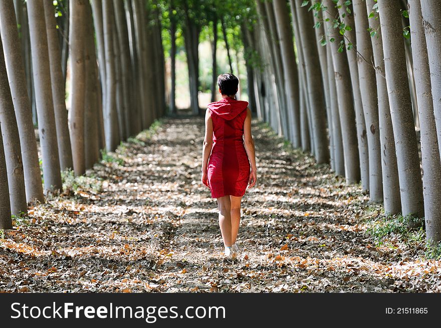 Women Dressed In Red Walking In The Forest