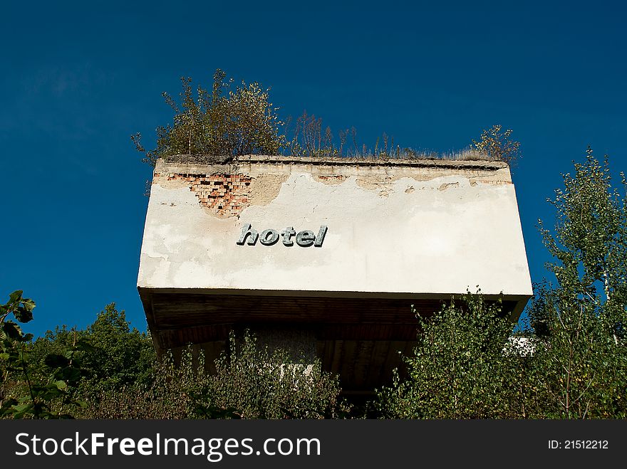 Tree growing from the old hotel ruins