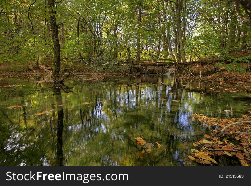 Small Lake in forest in autumn